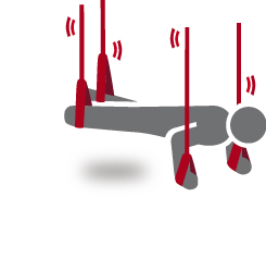 redcord, perturbacion